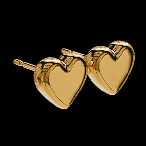 heart earrings p67