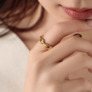 chain ring r114